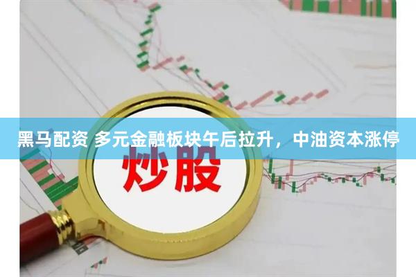 黑马配资 多元金融板块午后拉升，中油资本涨停