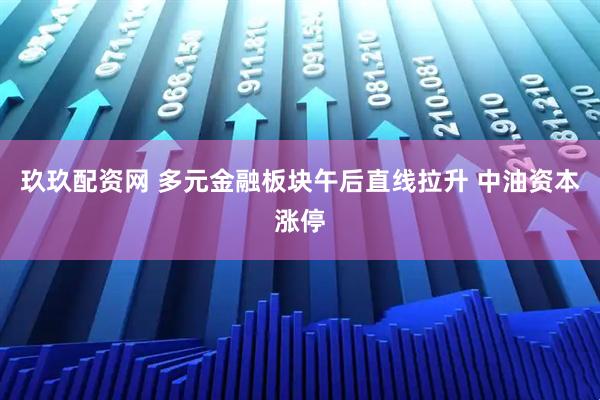 玖玖配资网 多元金融板块午后直线拉升 中油资本涨停