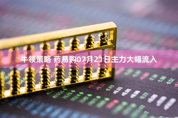 牛领策略 药易购07月21日主力大幅流入