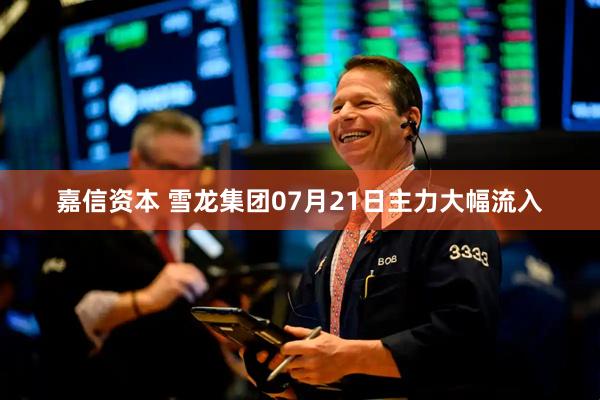 嘉信资本 雪龙集团07月21日主力大幅流入