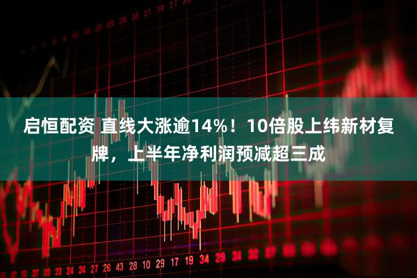 启恒配资 直线大涨逾14%！10倍股上纬新材复牌，上半年净利润预减超三成