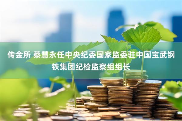 传金所 蔡慧永任中央纪委国家监委驻中国宝武钢铁集团纪检监察组组长