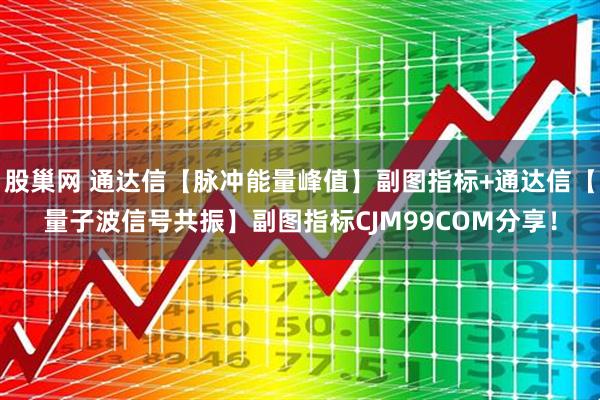 股巢网 通达信【脉冲能量峰值】副图指标+通达信【量子波信号共振】副图指标CJM99COM分享！