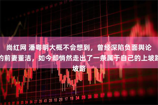 尚红网 潘粤明大概不会想到,曾经深陷负面舆论的前妻董洁,如今却悄然走出了一条属于自己的上坡路