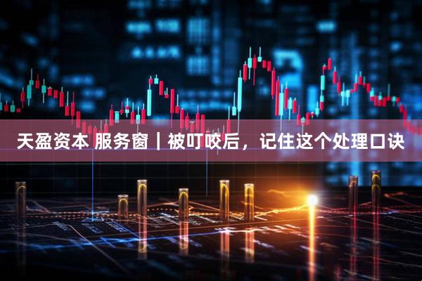 天盈资本 服务窗｜被叮咬后，记住这个处理口诀